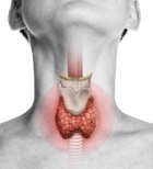 בדיקת תפקוד בלוטת התריס - תמונת אווירה